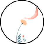 Cueillette sauvage à la main