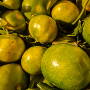 huile essentielle de Mandarine verte