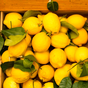 huile essentielle de Citron jaune